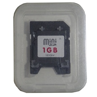 Memory Card Mini SD 1GB